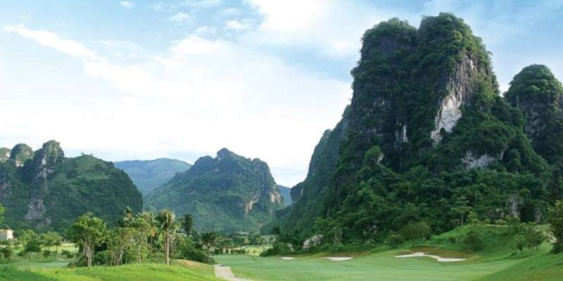 Phạm vi và dữ liệu chúng tôi thu thập trong chính sách bảo mật Lương Sơn